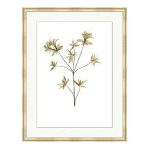 Online Designer Bathroom Fragile Blossoms Art - Print VIII