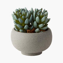 Online Designer Home/Small Office POTTED FAUX SUCCULENTS 4.25"