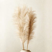 Online Designer Hallway/Entry Faux Pampas Grass Taupe Stem 39" Set of 3