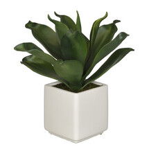 Online Designer Living Room Artificial Agave Succulent Desktop Plant in Planter 