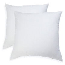 Online Designer Bedroom EZ Dreams Euro Pillow  - set of 2
