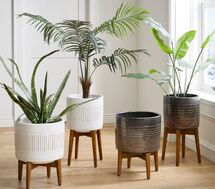 Online Designer Combined Living/Dining Mid-Century Turned Wood Leg Planters - Gold Stripe