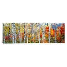 Online Designer Home/Small Office Panoramic Fall Trees, Shinhodaka, Gifu, Japan Photographic Print on Canvas by iCanvas