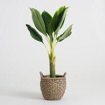 Online Designer Living Room Faux Single Stalk Banana Tree