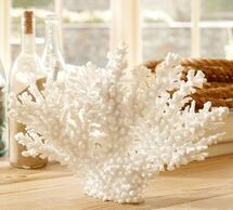 Online Designer Living Room WHITE SPIKE CORAL