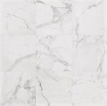 Online Designer Bathroom Deluxe White Floor Tile 24 x 24 with Reflex Finish