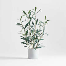 Online Designer Combined Living/Dining Faux Olive Tree