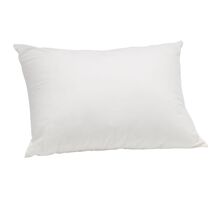 Online Designer Living Room 12"x16" Pillow Insert