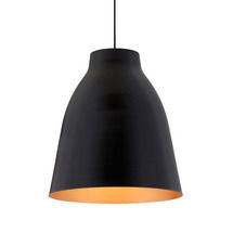 Online Designer Living Room Black Ceiling Lamp