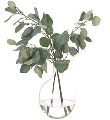 Online Designer Living Room Eucalyptus in Glass Vase