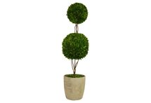 Online Designer Bedroom Double Topiary in Planter, Preserved