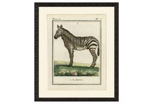 Online Designer Bedroom Zebra, 1786