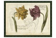 Online Designer Bedroom Tulip and Narcissus, 1750