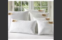 Online Designer Living Room Pillow Insert