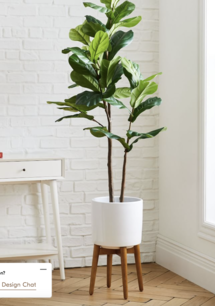 Online Designer Bedroom 5" Faux Fiddle Leaf Fig Tree & Tall Mid Century Turned Wood Leg Stand