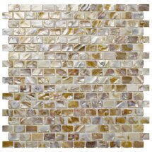 Online Designer Kitchen Shore 1" x 1" Seashell Mosaic Tile in Textured Natural shell