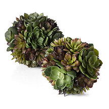 Online Designer Kitchen Succulent Ball