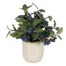 Online Designer Living Room Blueberry Accent Pot