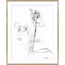 Online Designer Living Room ORCHID STUDIES' FRAMED DRAWING PRINT