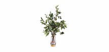 Online Designer Kitchen Eucalyptus in Lantern Vase