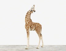 Online Designer Bedroom BABY GIRAFFE NO. 2