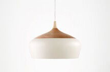 Online Designer Business/Office coco pendant