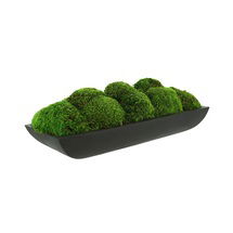 Online Designer Business/Office Preserved Moss Arrangement In Oblong Planter