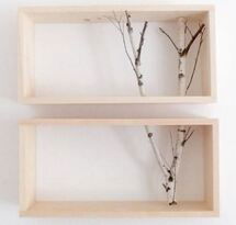 Online Designer Nursery white birch forest wall art