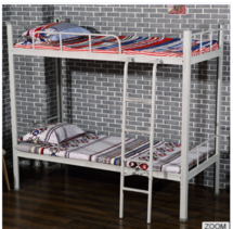 Online Designer Business/Office bunk bed