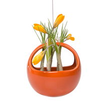 Online Designer Kitchen Mod Hanging Basket Planter