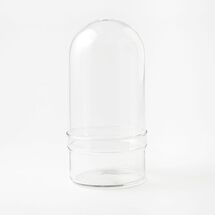 Online Designer Bathroom Glass Cloche Terrariums