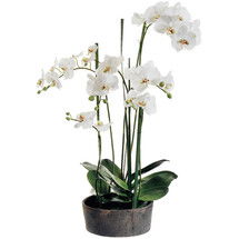 Online Designer Bathroom Faux Phalaenopsis Orchids with Clay Pot 