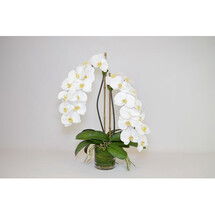 Online Designer Dining Room Artificial Orchids 