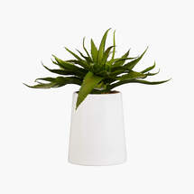 Online Designer Combined Living/Dining POTTED FAUX ALOE 9"