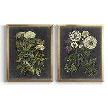 Online Designer Dining Room Bookplate Floral I Framed 2 Pieces Painting