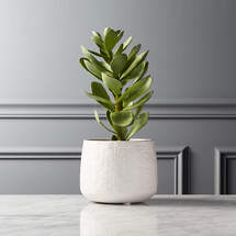 Online Designer Business/Office Potted Faux Succulent 14"