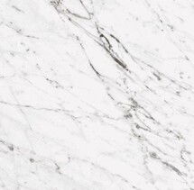 Online Designer Bathroom TUSCANY CARRARA WHITE 24? X 24? POLISHED