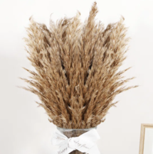 Online Designer Bedroom 30 Stems Pampas Grass, Artificial Stem Natural and Brown