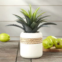 Online Designer Business/Office Faux Star Succulent Plant in Planter in Planter