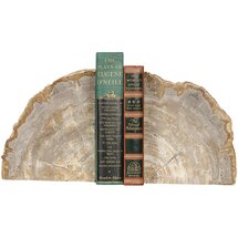 Online Designer Living Room Petrified Bookends, Rough Edges