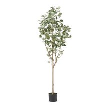 Online Designer Bathroom Aanya Artificial Eucalyptus Tree in Pot