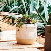 Online Designer Living Room Speckled Texture Planter