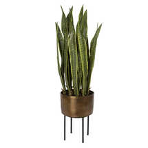 Online Designer Living Room Planter