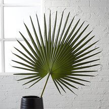 Online Designer Hallway/Entry fan palm