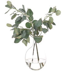 Online Designer Living Room Eucalyptus in Glass Vase