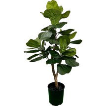 Online Designer Living Room Hand-Made Primrue Artificial Fiddle Leaf Fig Tree