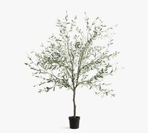 Online Designer Living Room Faux Olive Trees