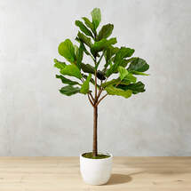 Online Designer Living Room POTTED FAUX FIDDLE LEAF FIG 5'