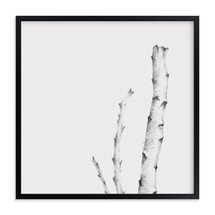 Online Designer Living Room Birch