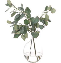 Online Designer Combined Living/Dining Eucalyptus in Glass Vase